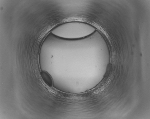 X0000068840529200605050946