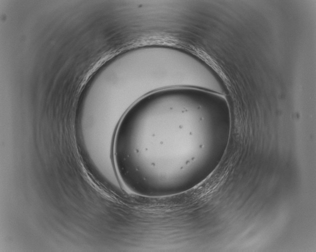 X0000068840530200605050946