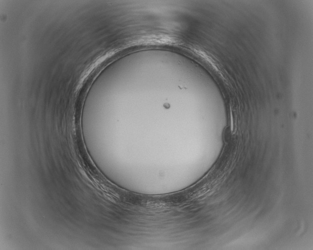 X0000068840531200605050946