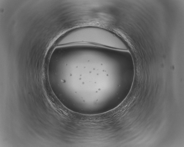 X0000068840532200605050946