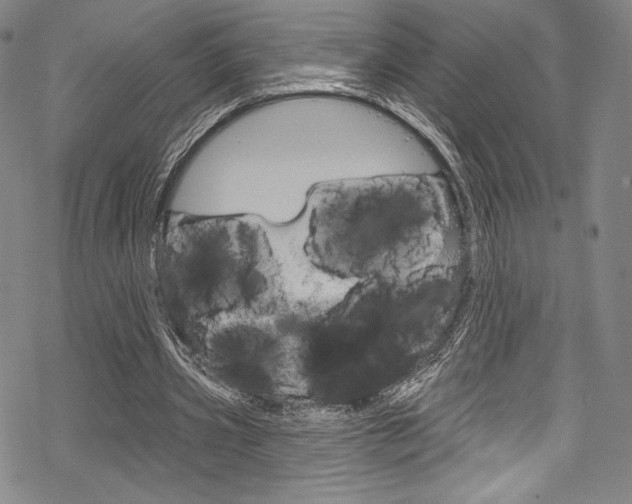 X0000068840533200605050946