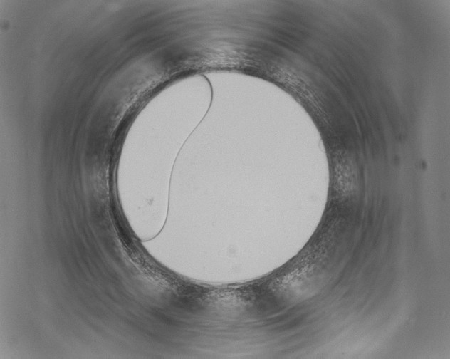 X0000068840534200605050946