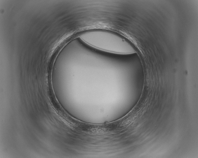 X0000068840535200605050946