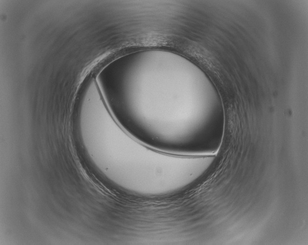 X0000068840536200605050946