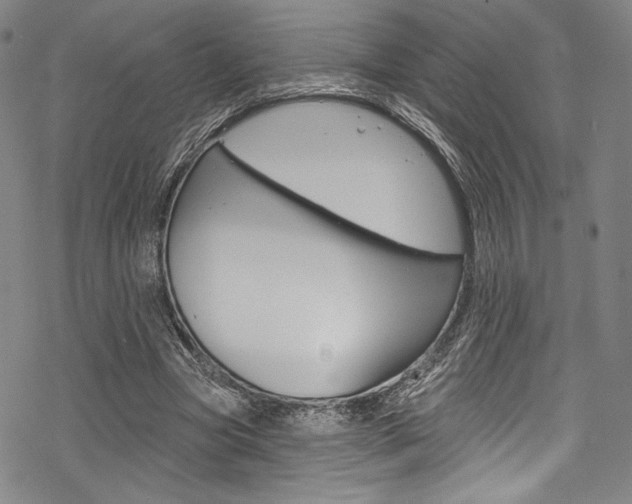 X0000068840537200605050946