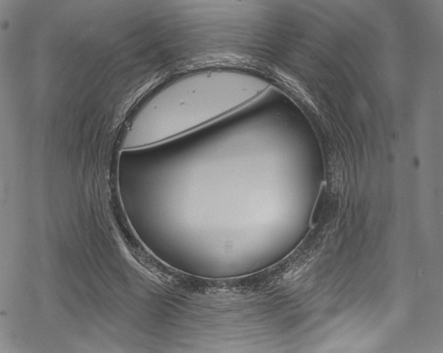 X0000068840538200605050946