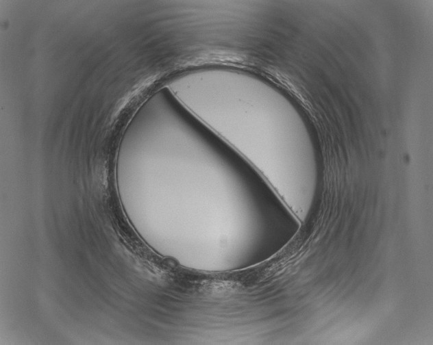 X0000068840539200605050946