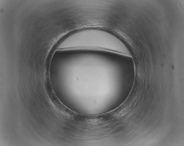 X0000068840540200605050946