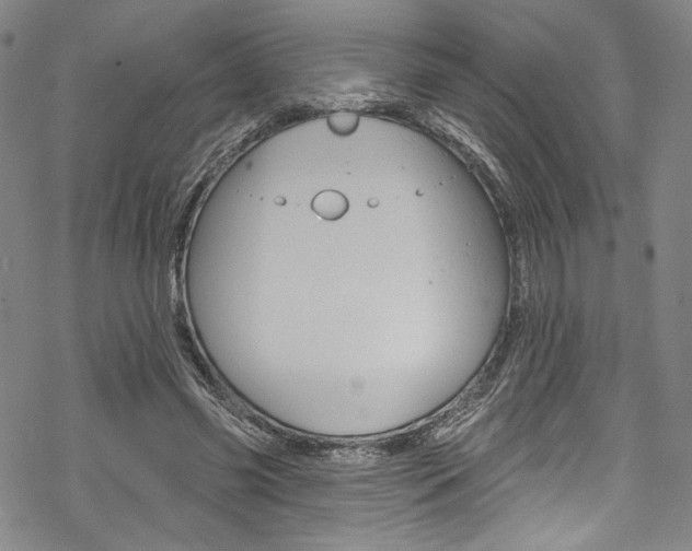 X0000068840541200605050946