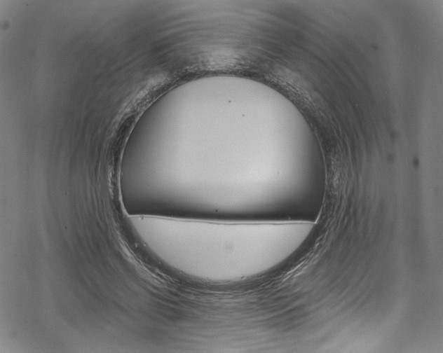 X0000068840542200605050946