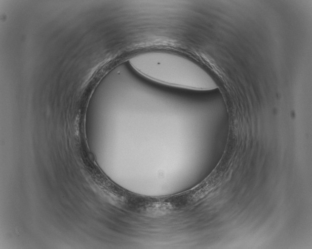 X0000068840543200605050946