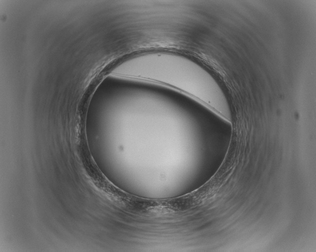 X0000068840544200605050946