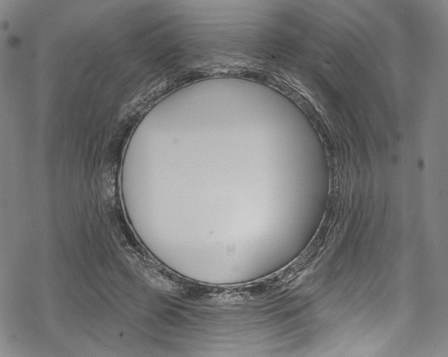 X0000068840545200605050946