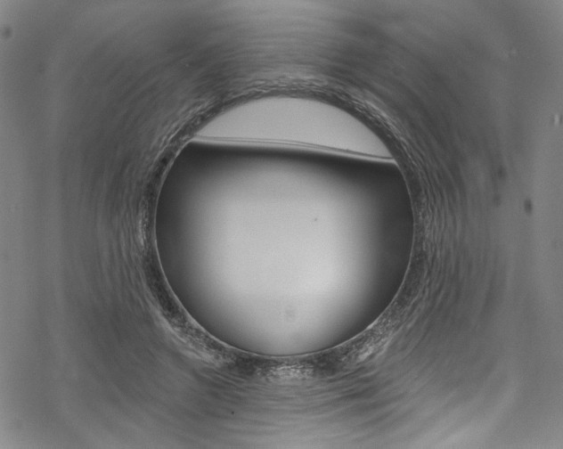 X0000068840546200605050946