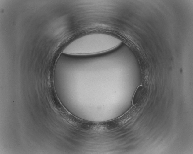 X0000068840547200605050946