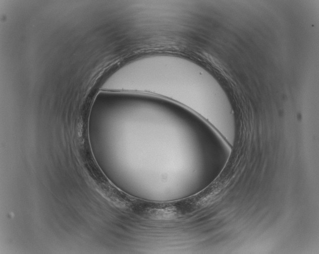 X0000068840548200605050946