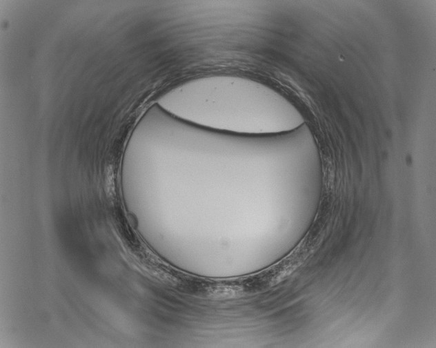 X0000068840549200605050946