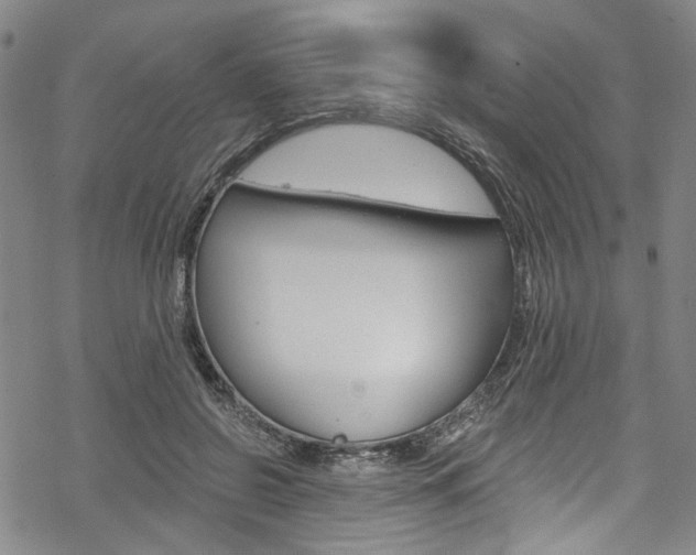 X0000068840550200605050946