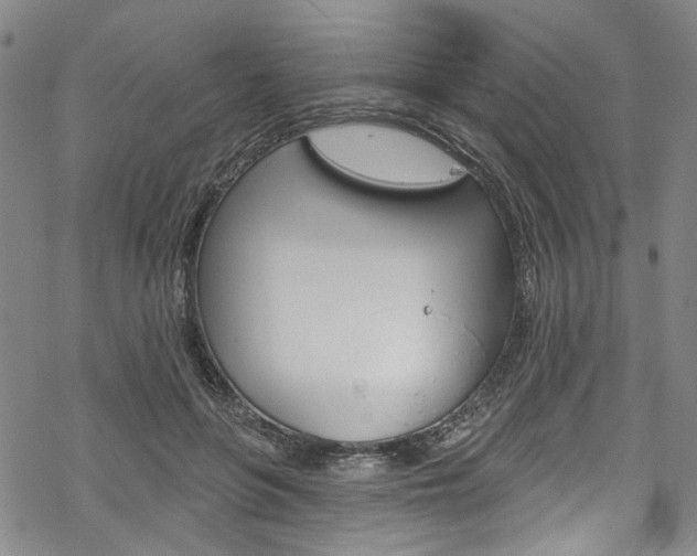 X0000068840551200605050946