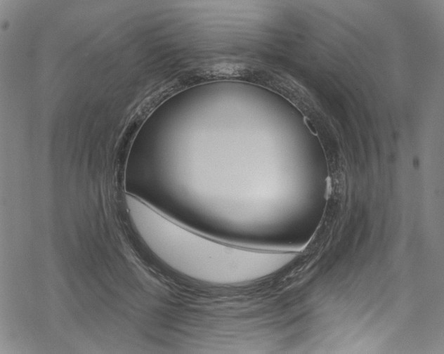 X0000068840552200605050946