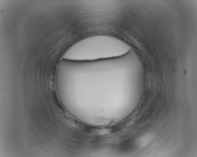 X0000068840553200605050946