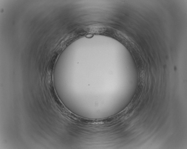 X0000068840554200605050946