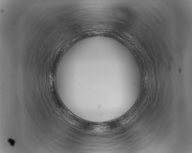 X0000068840555200605050946