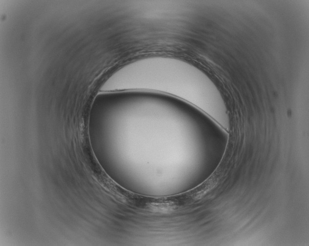 X0000068840556200605050946