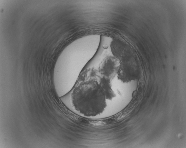 X0000068840557200605050946