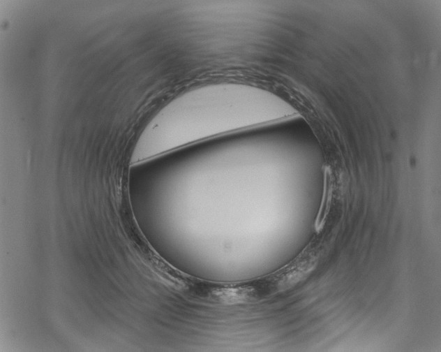 X0000068840558200605050946