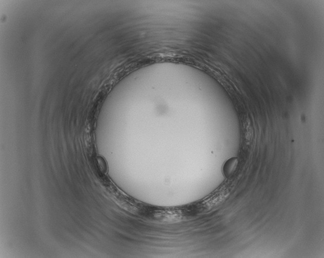 X0000068840559200605050946