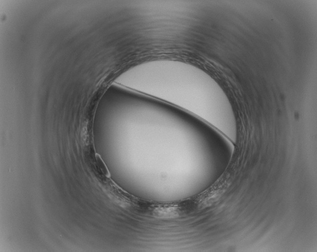 X0000068840560200605050946