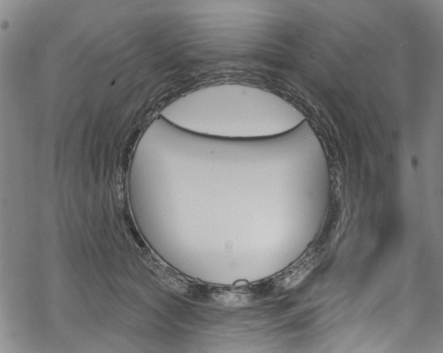 X0000068840561200605050946