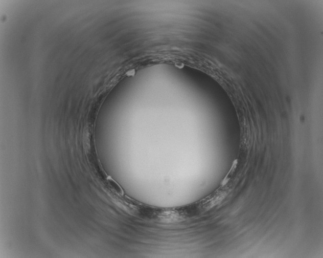 X0000068840562200605050946