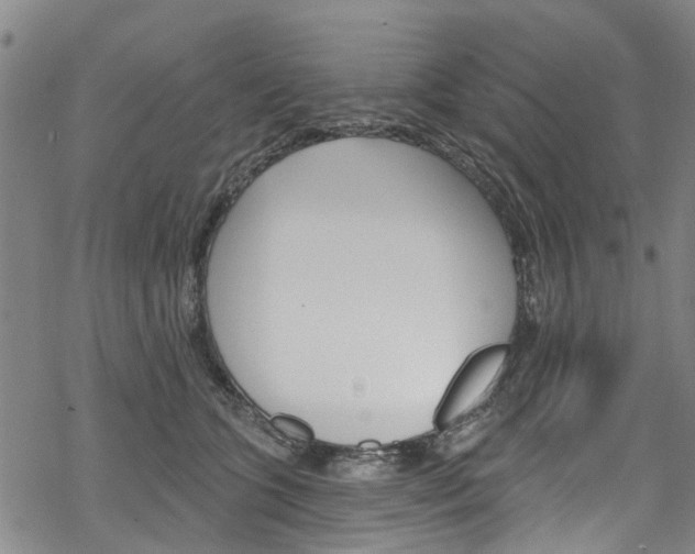 X0000068840563200605050946