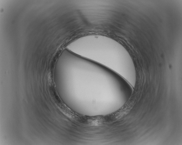 X0000068840564200605050946