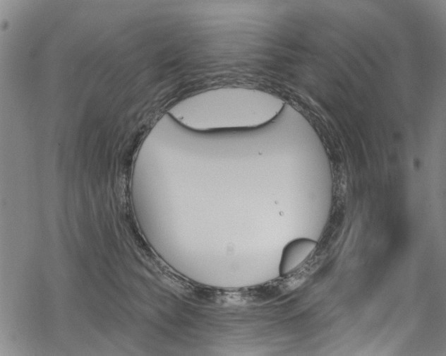 X0000068840565200605050946