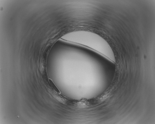 X0000068840566200605050946