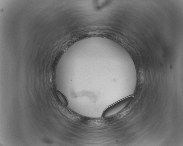 X0000068840567200605050946