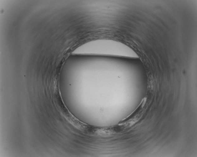 X0000068840568200605050946