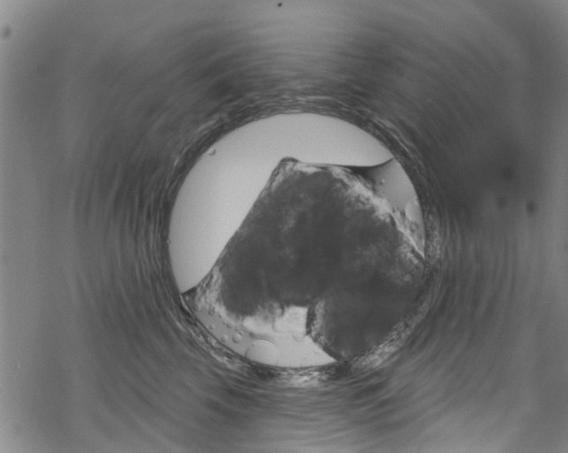 X0000068840569200605050946