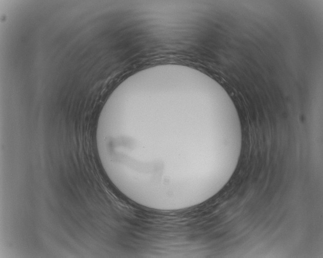 X0000068840570200605050946