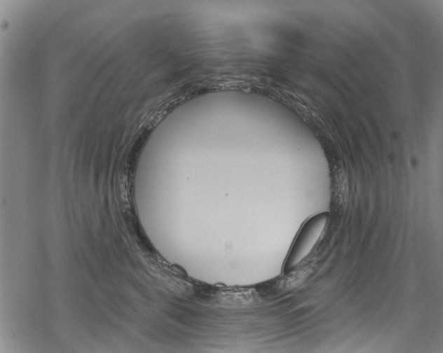 X0000068840571200605050947