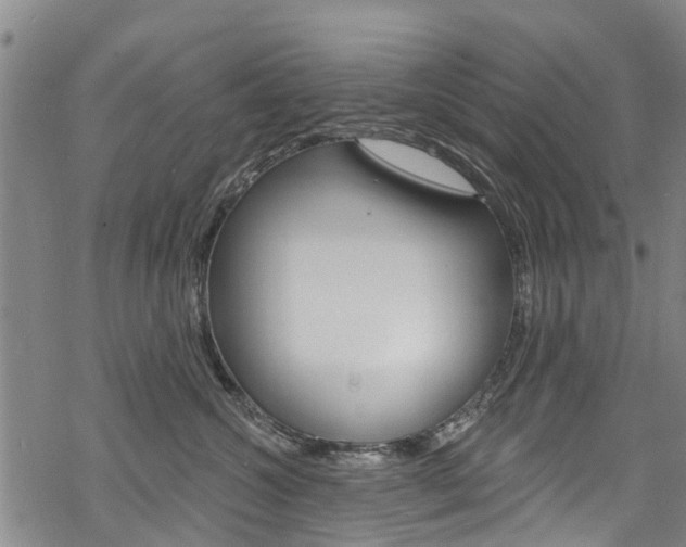 X0000068840572200605050947