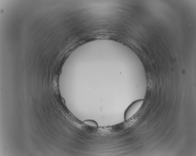 X0000068840573200605050947