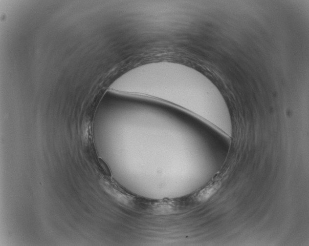 X0000068840574200605050947