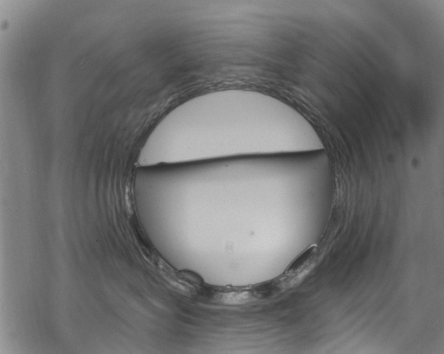 X0000068840575200605050947