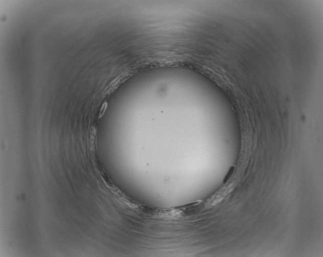 X0000068840576200605050947