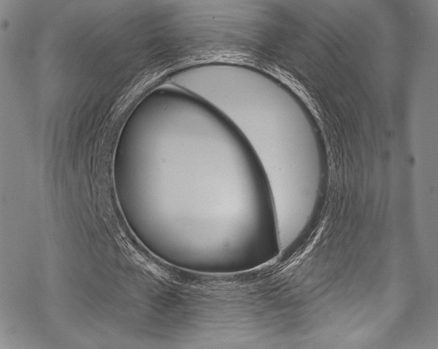 X0000068840577200605050946