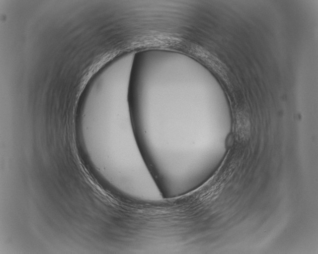 X0000068840578200605050946